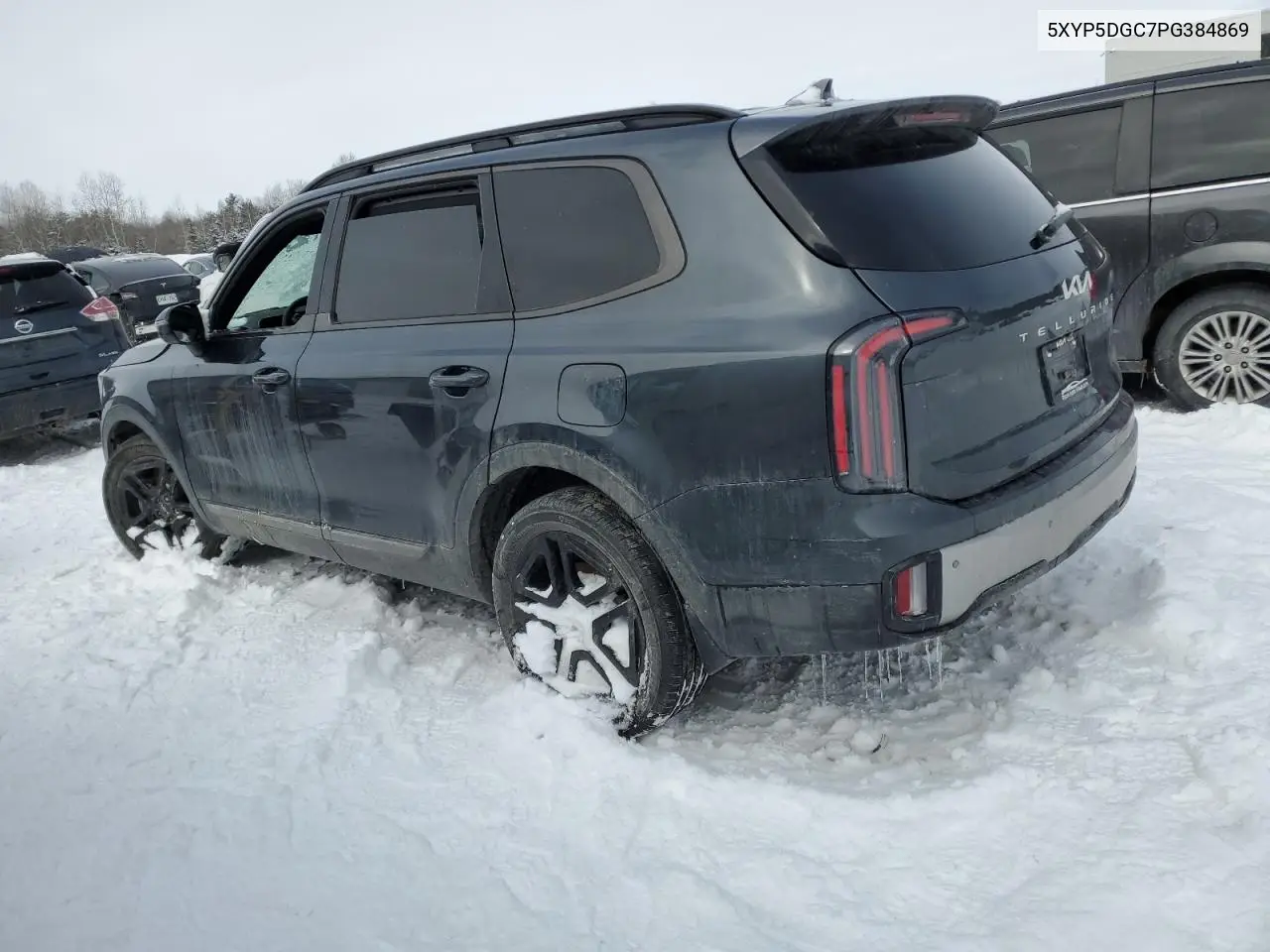 2023 Kia Telluride Sx VIN: 5XYP5DGC7PG384869 Lot: 45141575