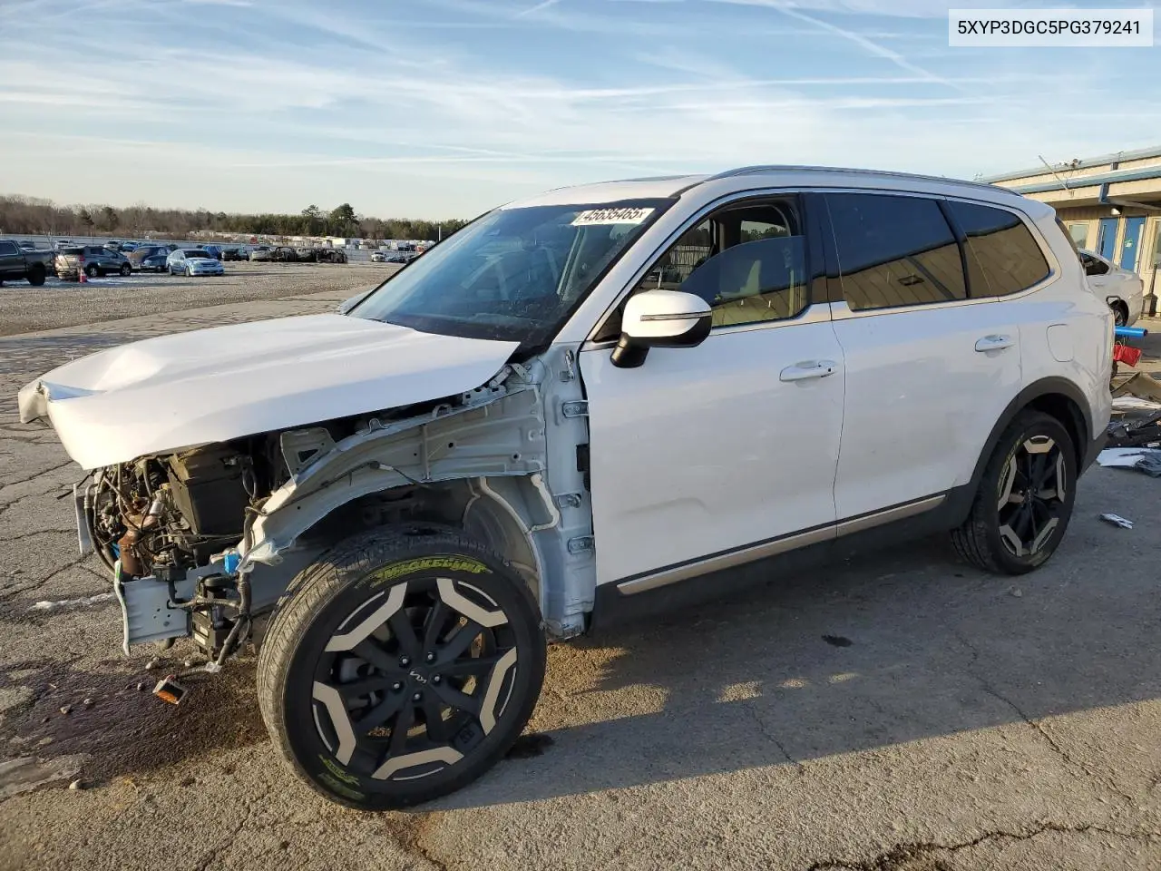 2023 Kia Telluride Ex VIN: 5XYP3DGC5PG379241 Lot: 45635465