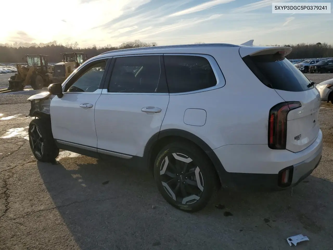 2023 Kia Telluride Ex VIN: 5XYP3DGC5PG379241 Lot: 45635465
