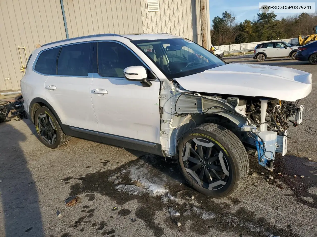 2023 Kia Telluride Ex VIN: 5XYP3DGC5PG379241 Lot: 45635465