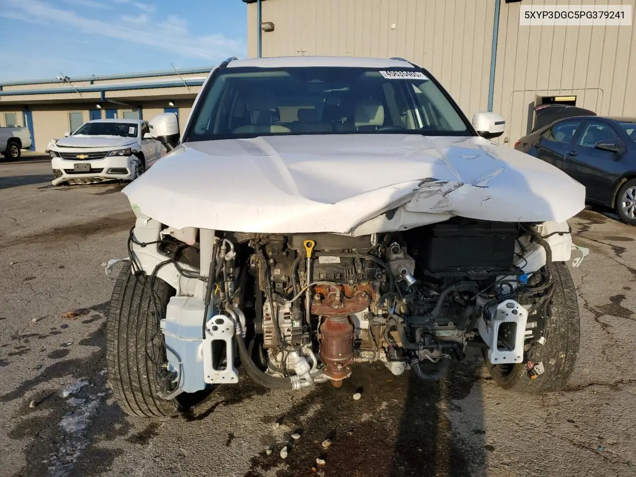 2023 Kia Telluride Ex VIN: 5XYP3DGC5PG379241 Lot: 45635465