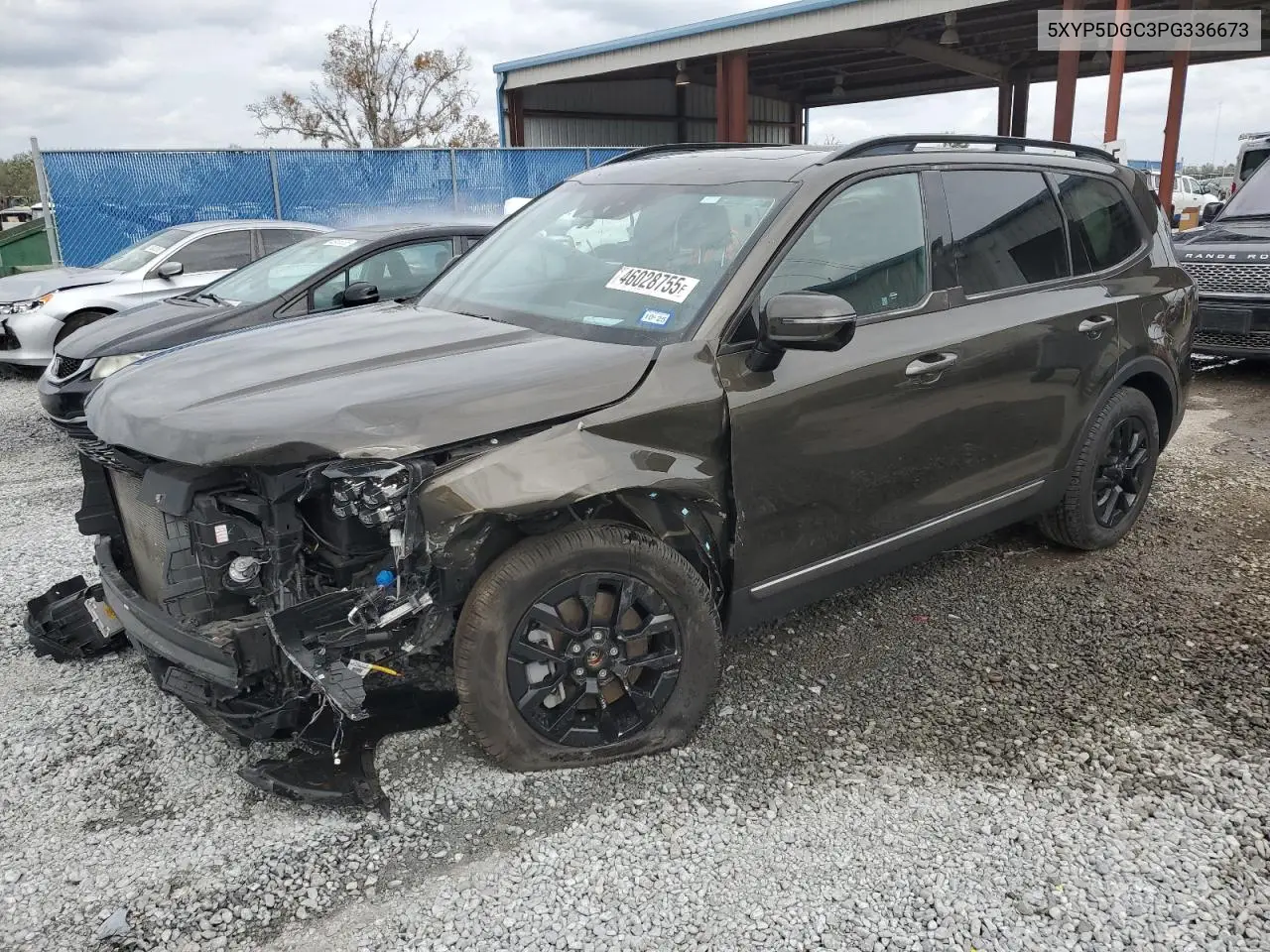 2023 Kia Telluride Sx VIN: 5XYP5DGC3PG336673 Lot: 46028755