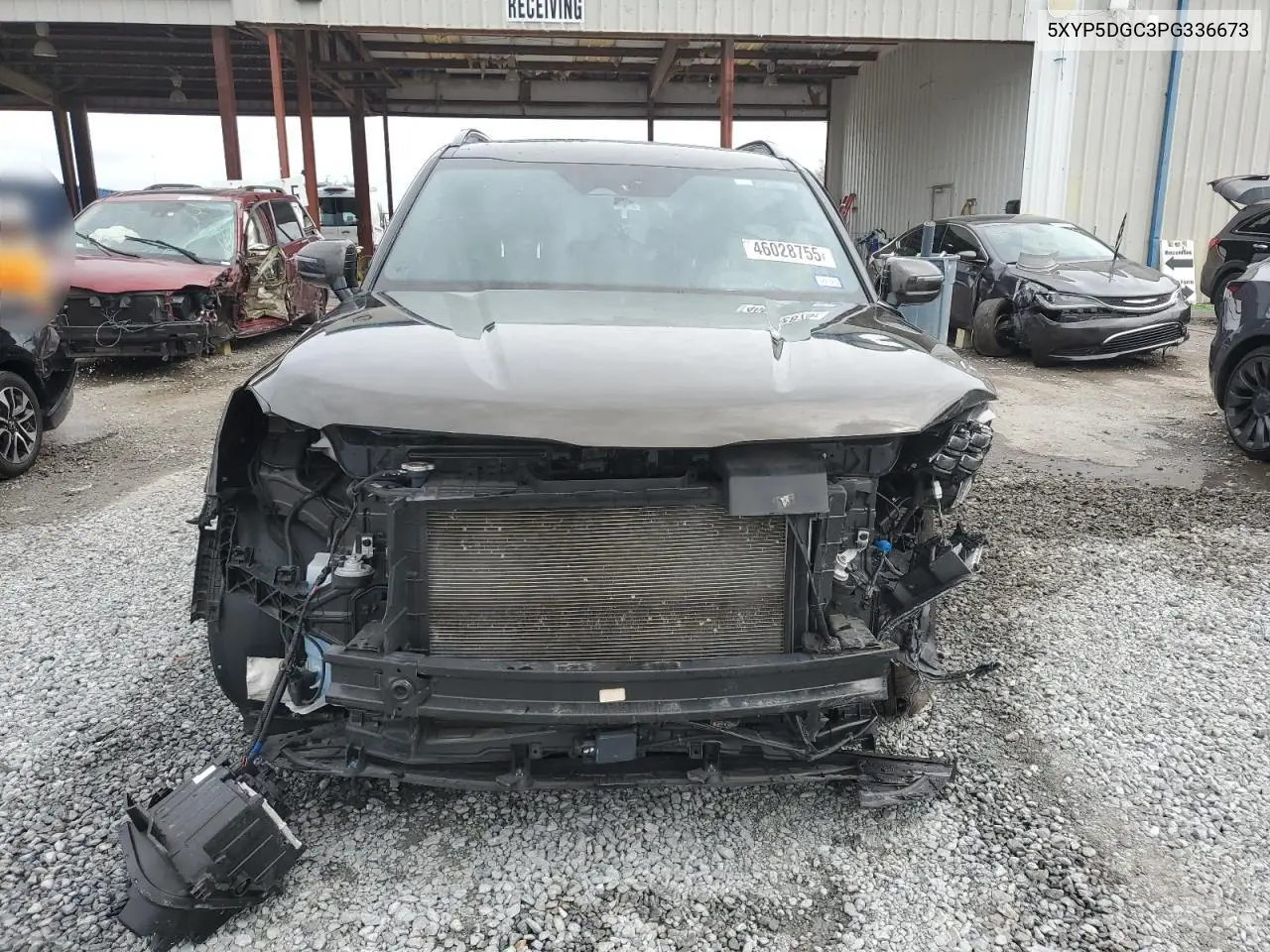 2023 Kia Telluride Sx VIN: 5XYP5DGC3PG336673 Lot: 46028755