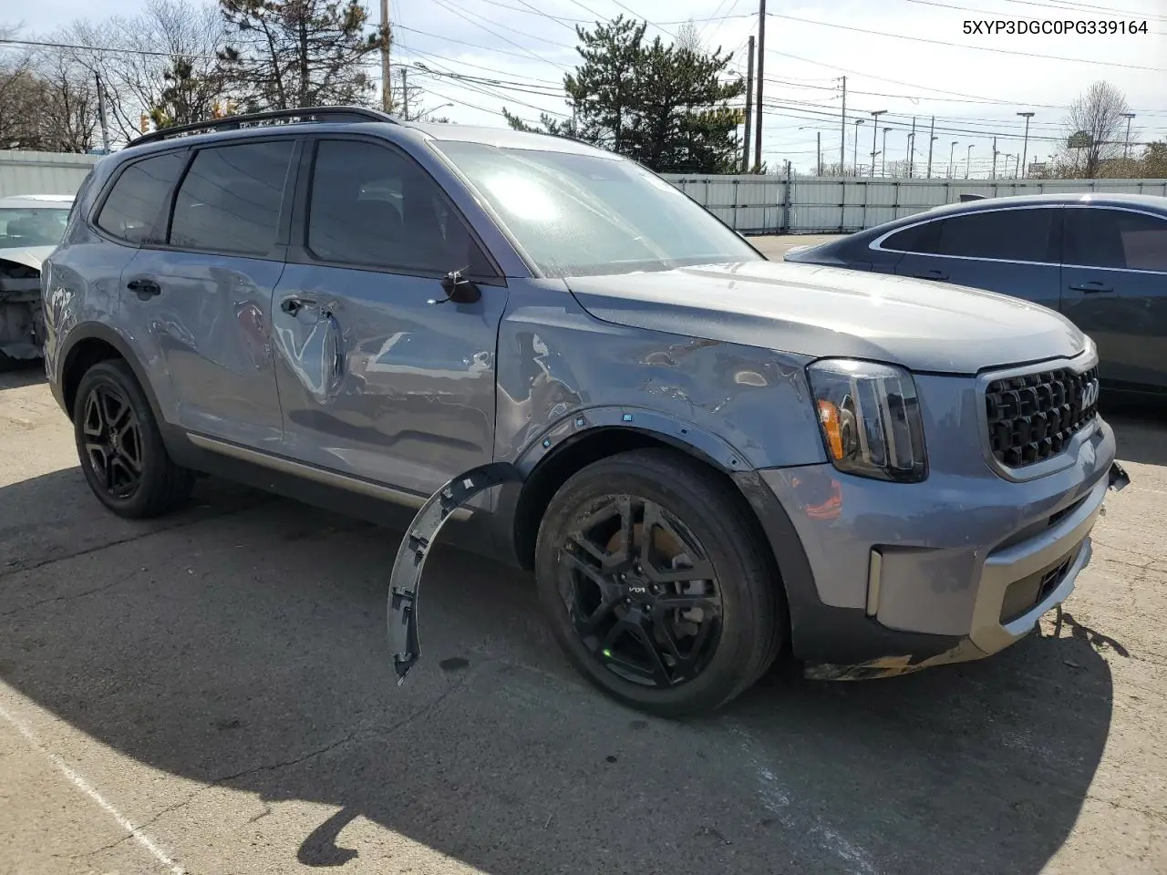 2023 Kia Telluride Ex VIN: 5XYP3DGC0PG339164 Lot: 50011535