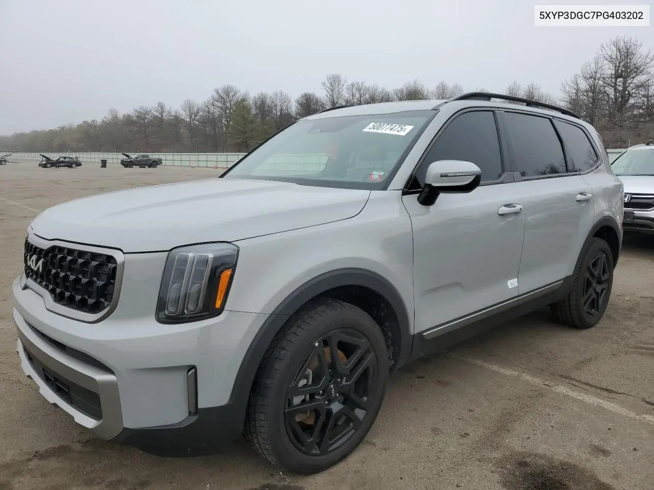 2023 Kia Telluride Ex VIN: 5XYP3DGC7PG403202 Lot: 50077475