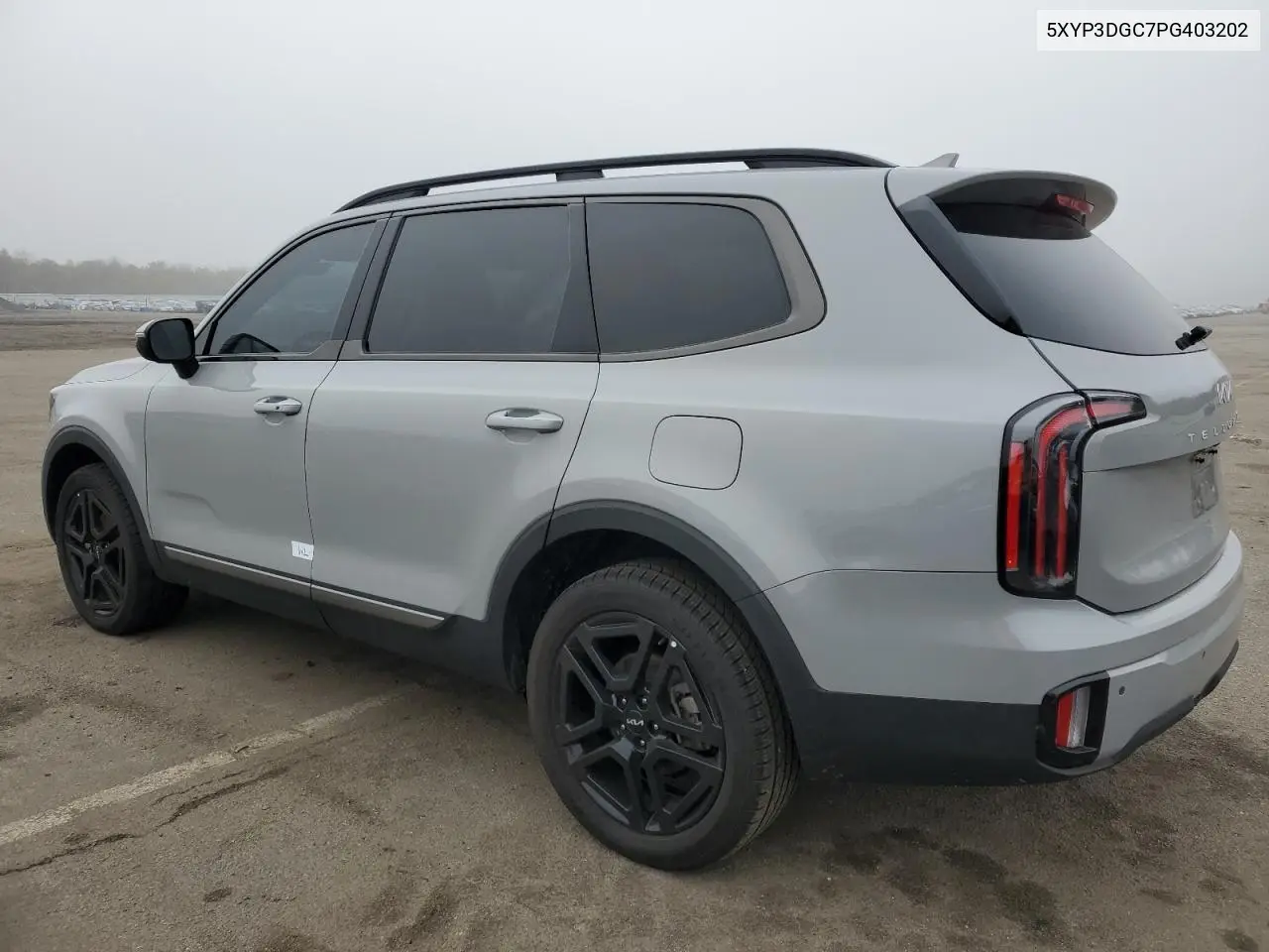 2023 Kia Telluride Ex VIN: 5XYP3DGC7PG403202 Lot: 50077475