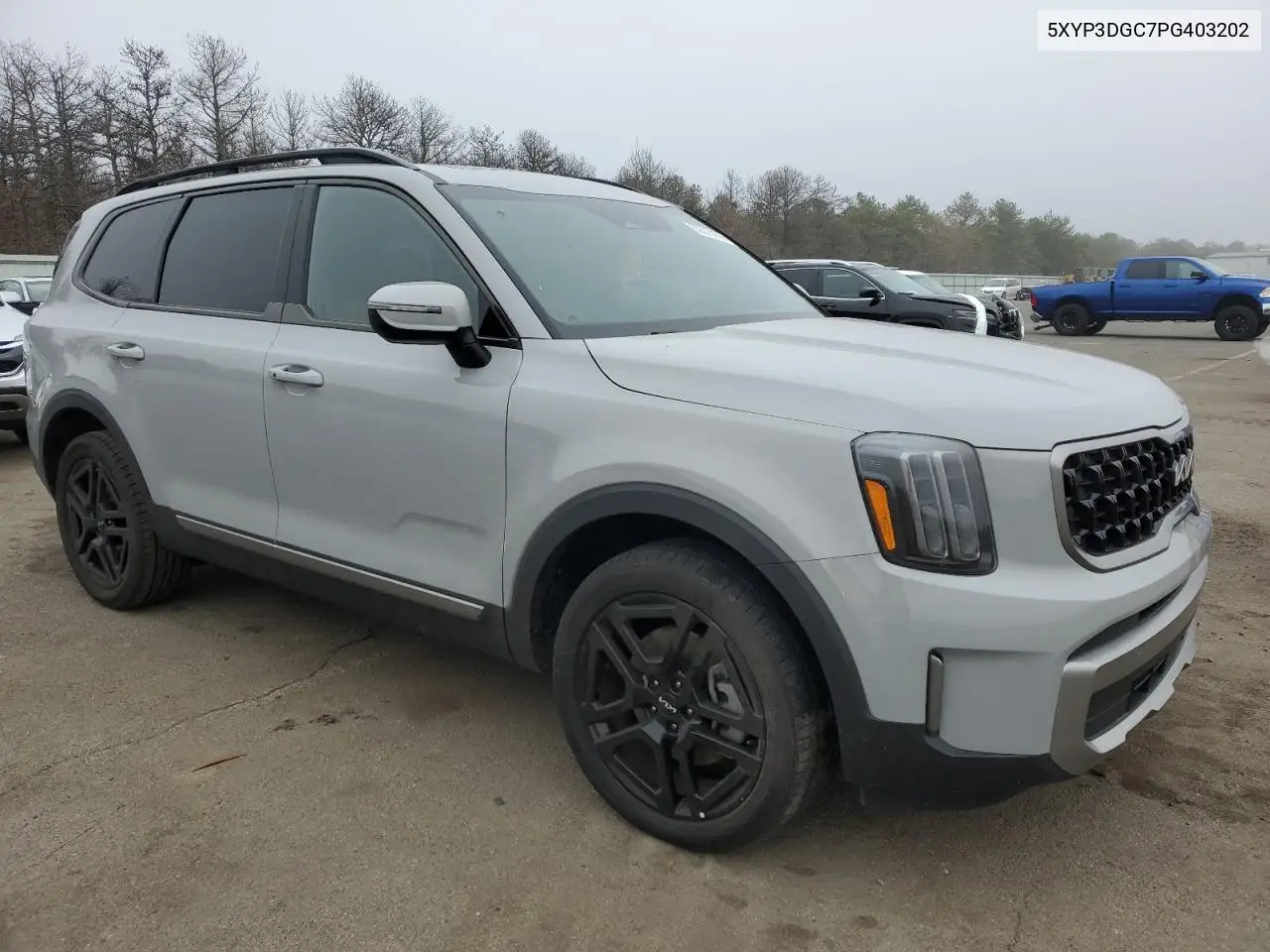2023 Kia Telluride Ex VIN: 5XYP3DGC7PG403202 Lot: 50077475