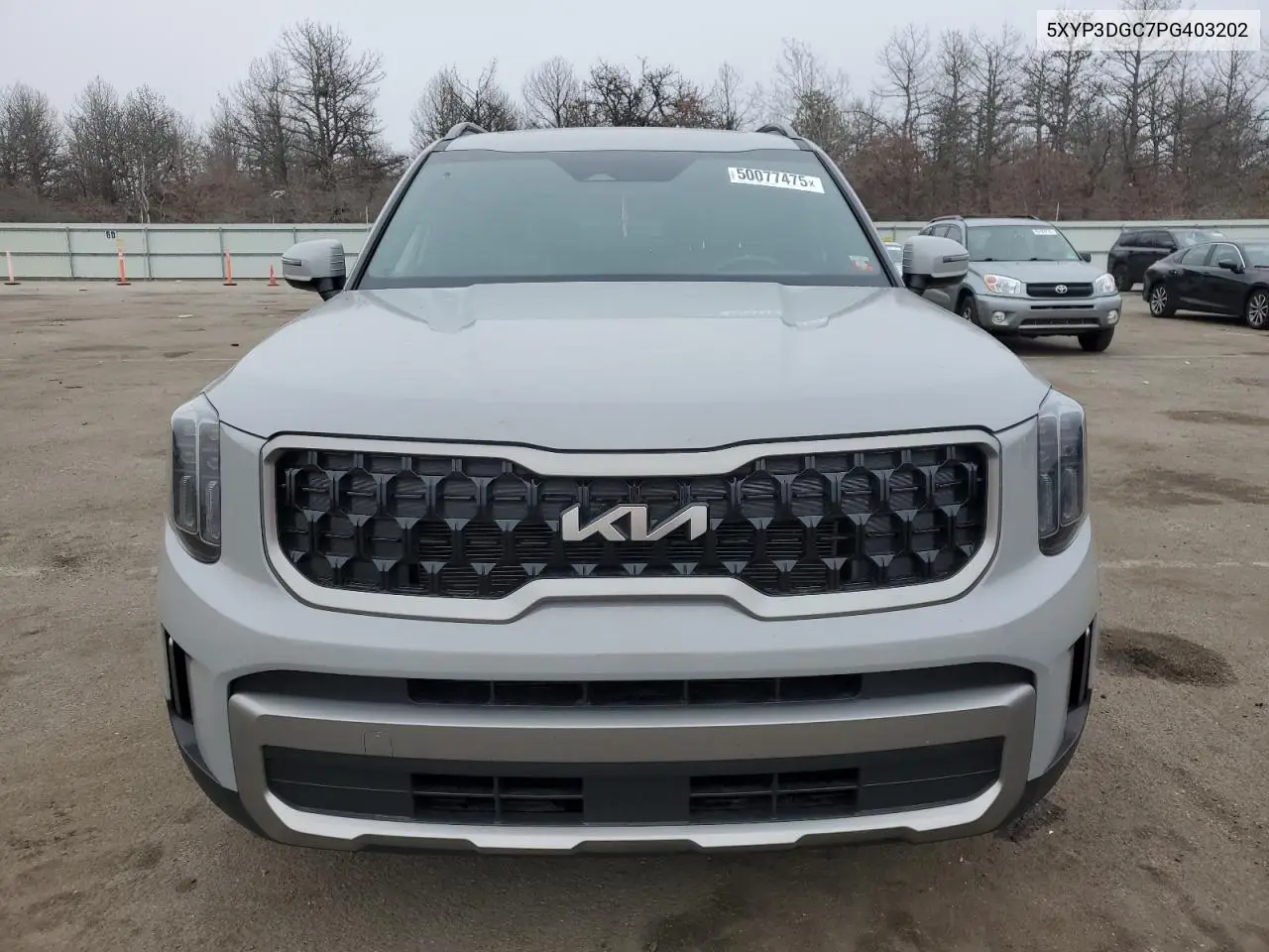 2023 Kia Telluride Ex VIN: 5XYP3DGC7PG403202 Lot: 50077475