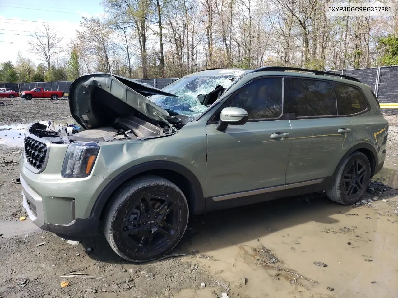 2023 Kia Telluride Ex VIN: 5XYP3DGC9PG337381 Lot: 52011685