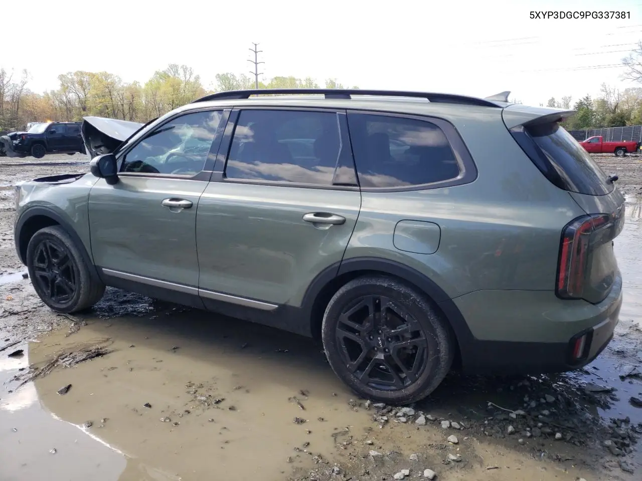 2023 Kia Telluride Ex VIN: 5XYP3DGC9PG337381 Lot: 52011685