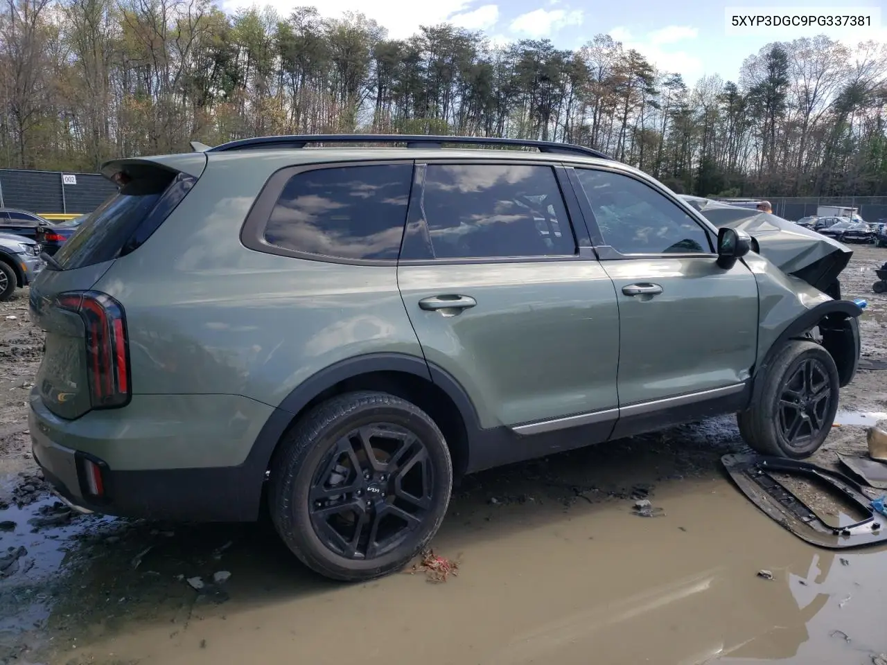 2023 Kia Telluride Ex VIN: 5XYP3DGC9PG337381 Lot: 52011685