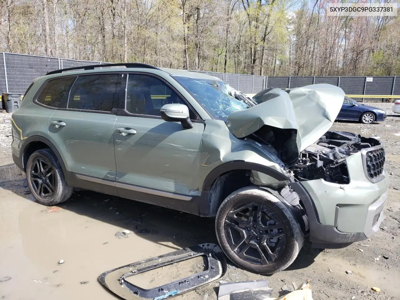 2023 Kia Telluride Ex VIN: 5XYP3DGC9PG337381 Lot: 52011685