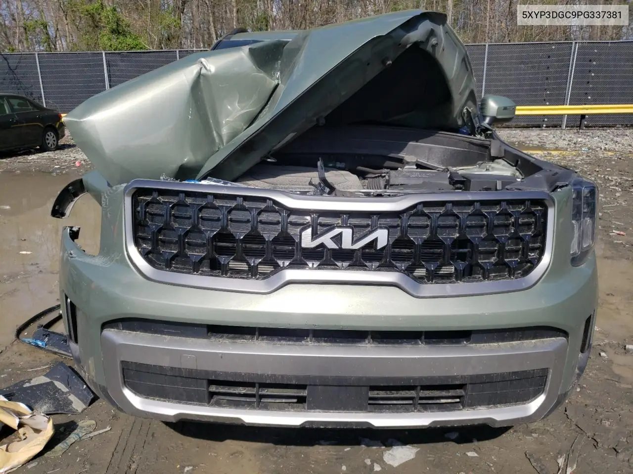2023 Kia Telluride Ex VIN: 5XYP3DGC9PG337381 Lot: 52011685