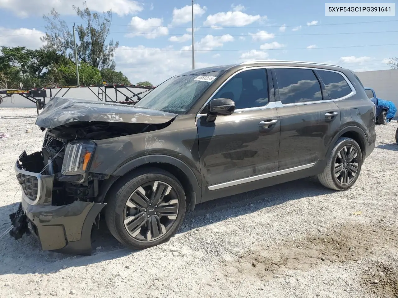 2023 Kia Telluride Sx VIN: 5XYP54GC1PG391641 Lot: 53533575
