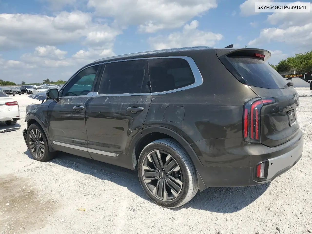 2023 Kia Telluride Sx VIN: 5XYP54GC1PG391641 Lot: 53533575