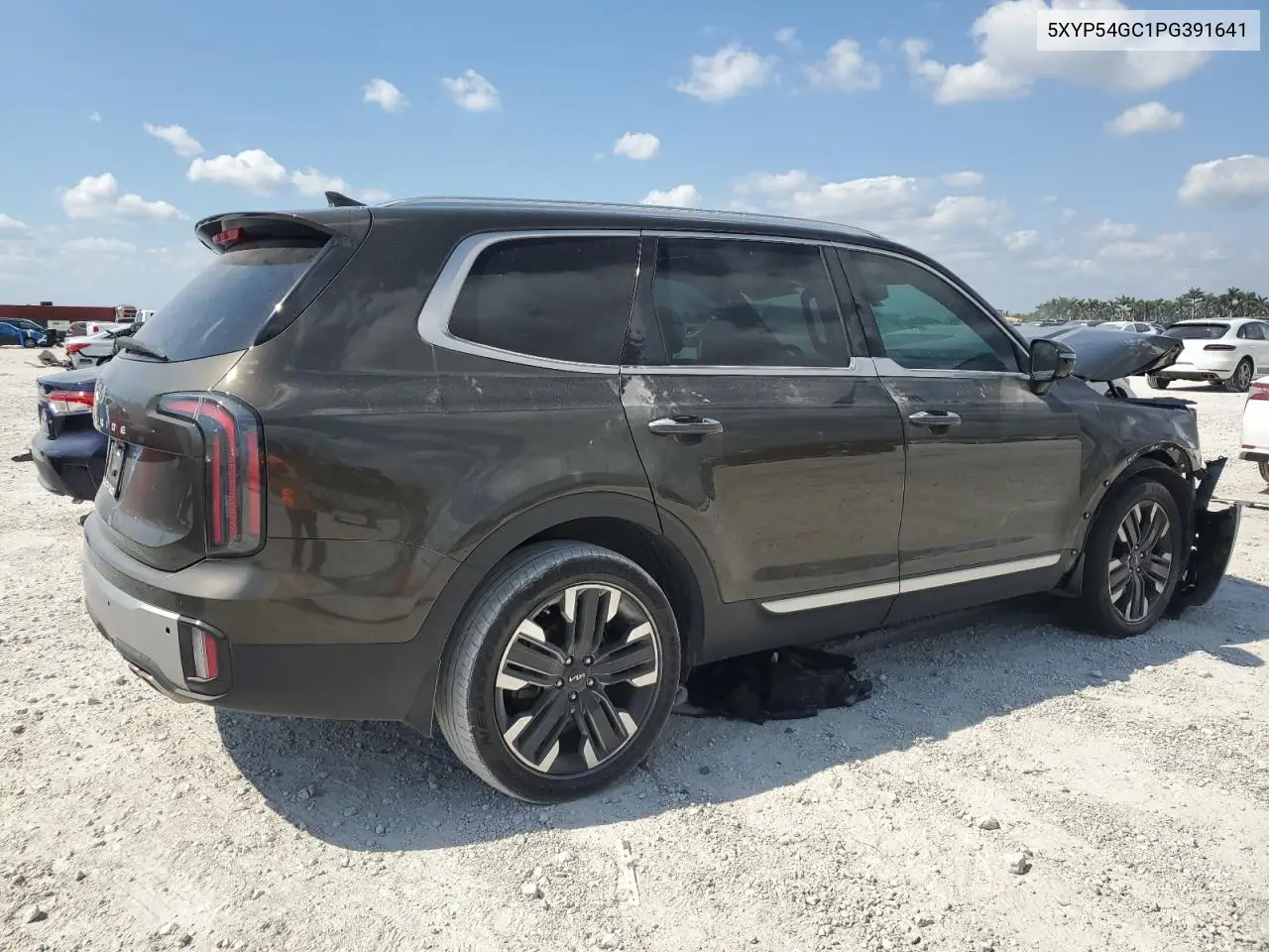 2023 Kia Telluride Sx VIN: 5XYP54GC1PG391641 Lot: 53533575