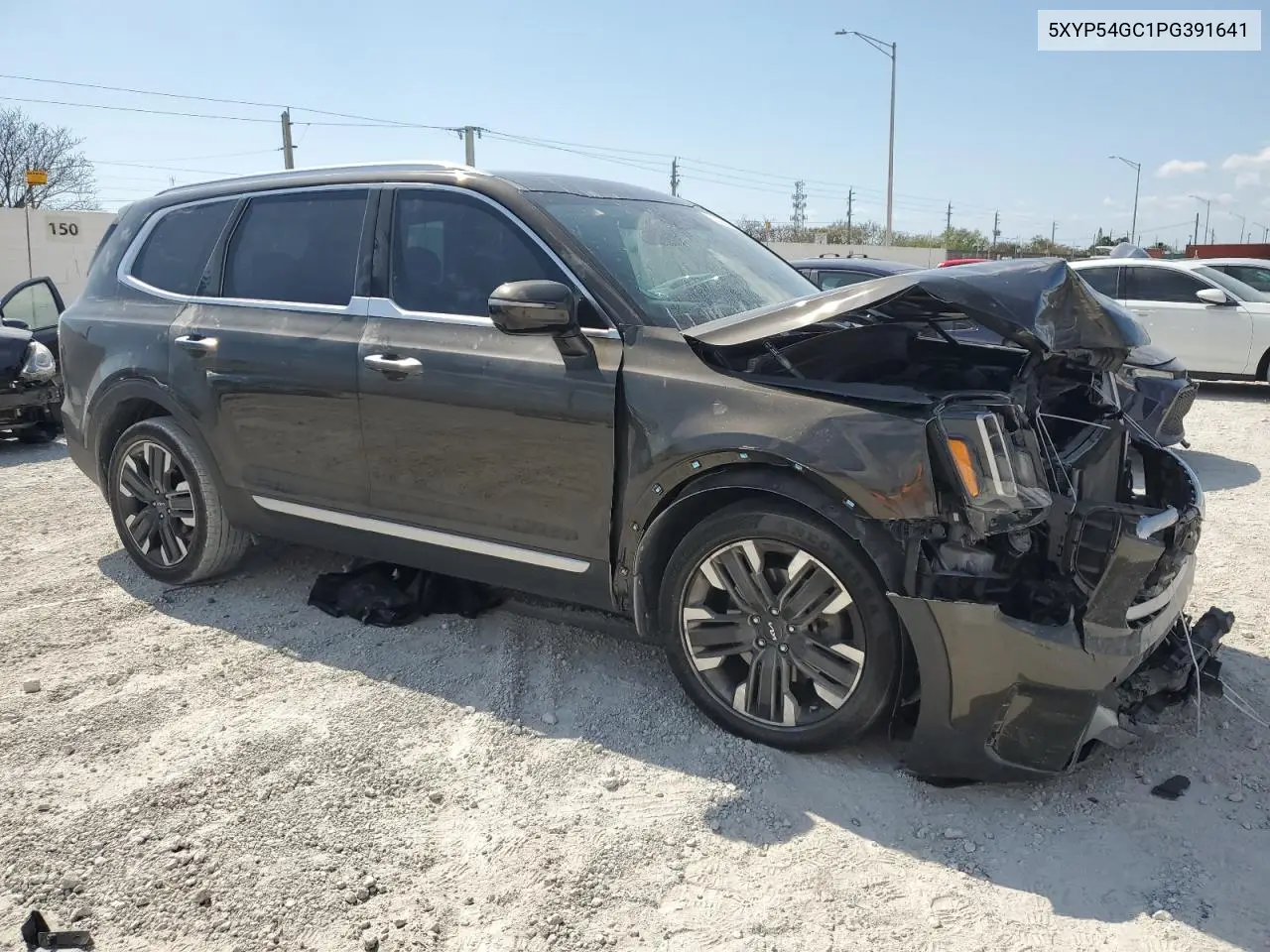 2023 Kia Telluride Sx VIN: 5XYP54GC1PG391641 Lot: 53533575