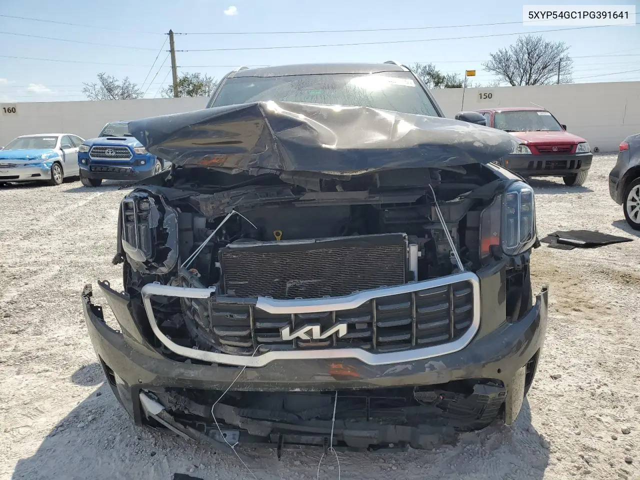 2023 Kia Telluride Sx VIN: 5XYP54GC1PG391641 Lot: 53533575