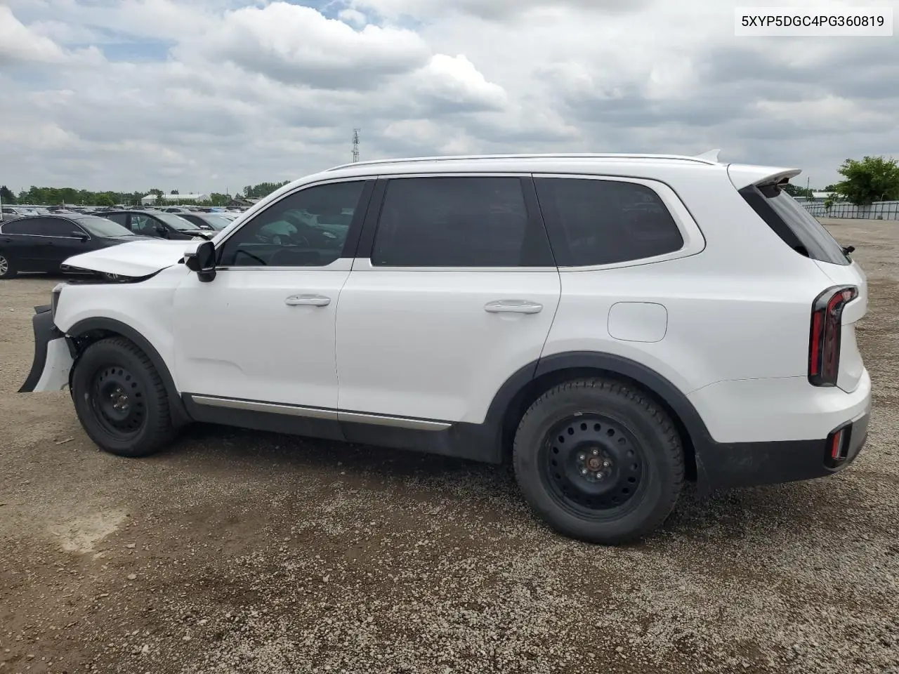 2023 Kia Telluride Sx VIN: 5XYP5DGC4PG360819 Lot: 62531715