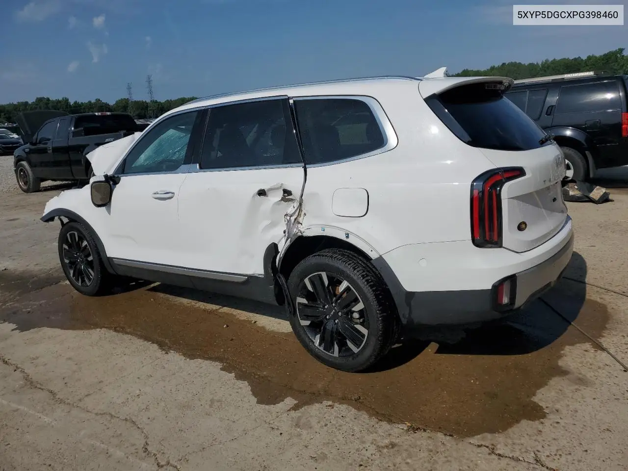 2023 Kia Telluride Sx VIN: 5XYP5DGCXPG398460 Lot: 62751595