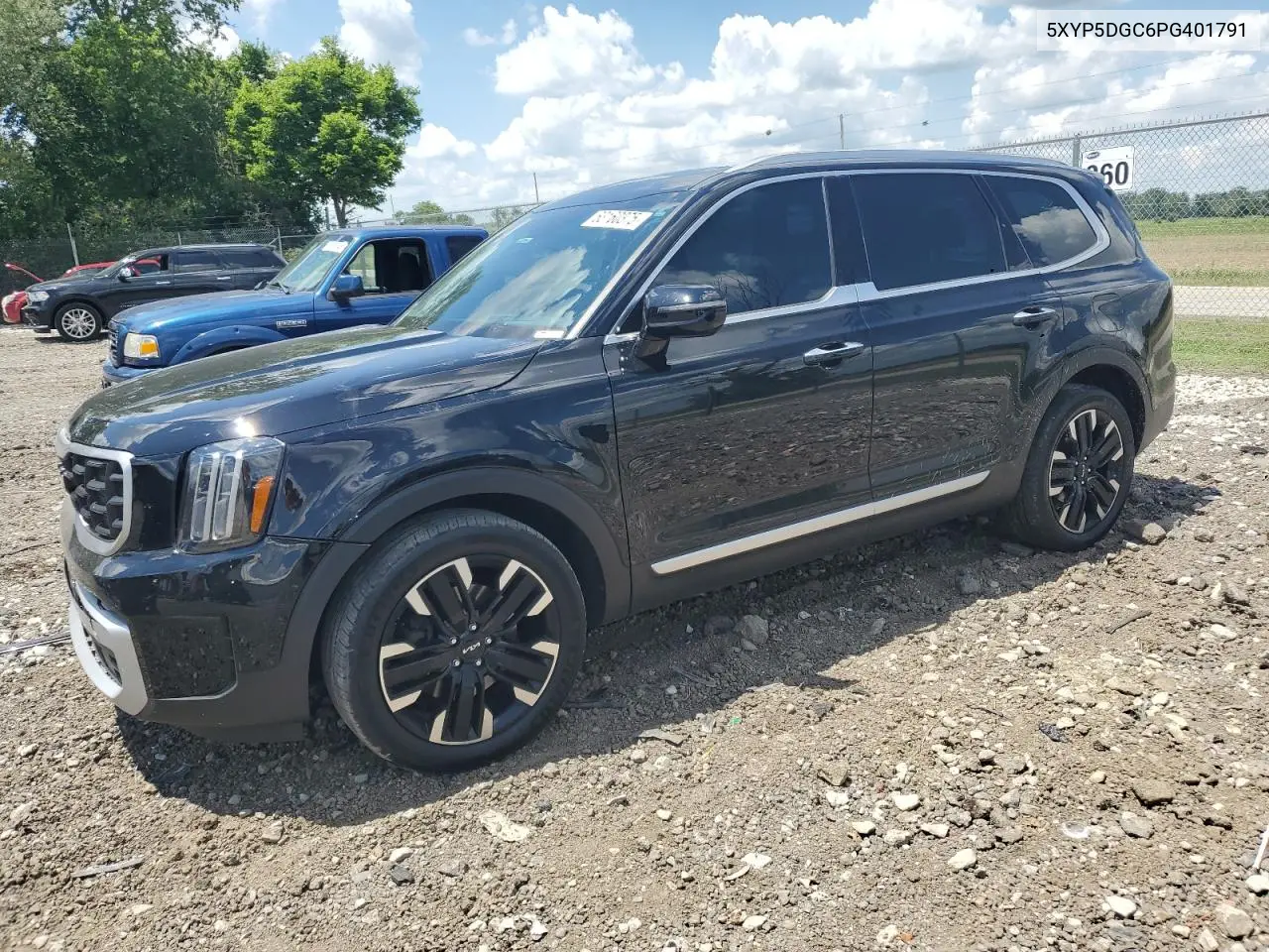 2023 Kia Telluride Sx VIN: 5XYP5DGC6PG401791 Lot: 63160375