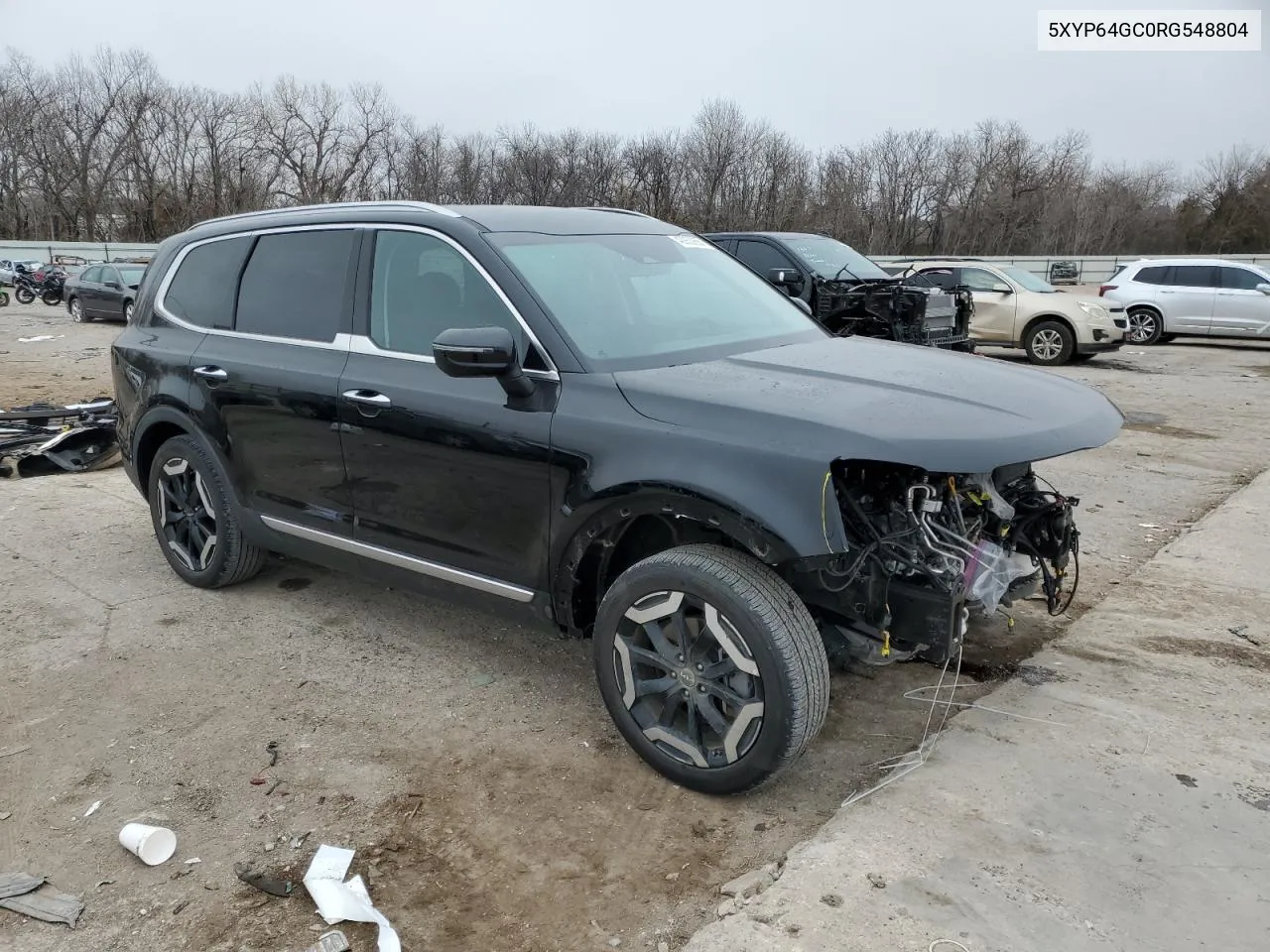 2024 Kia Telluride S VIN: 5XYP64GC0RG548804 Lot: 42953955