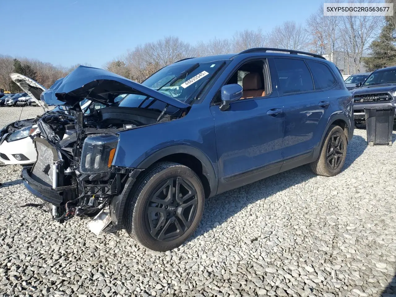 2024 Kia Telluride Sx VIN: 5XYP5DGC2RG563677 Lot: 48695545