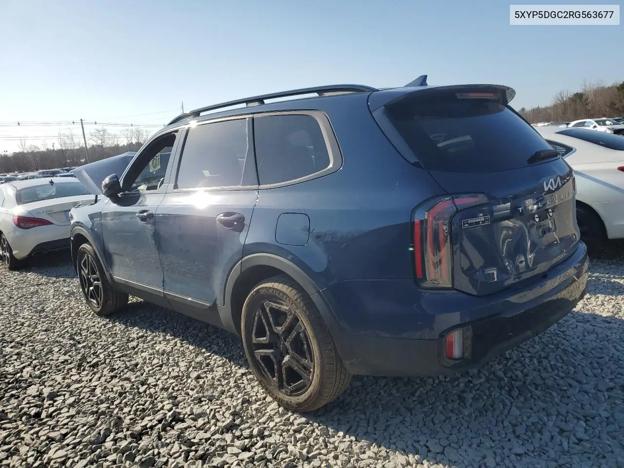 2024 Kia Telluride Sx VIN: 5XYP5DGC2RG563677 Lot: 48695545
