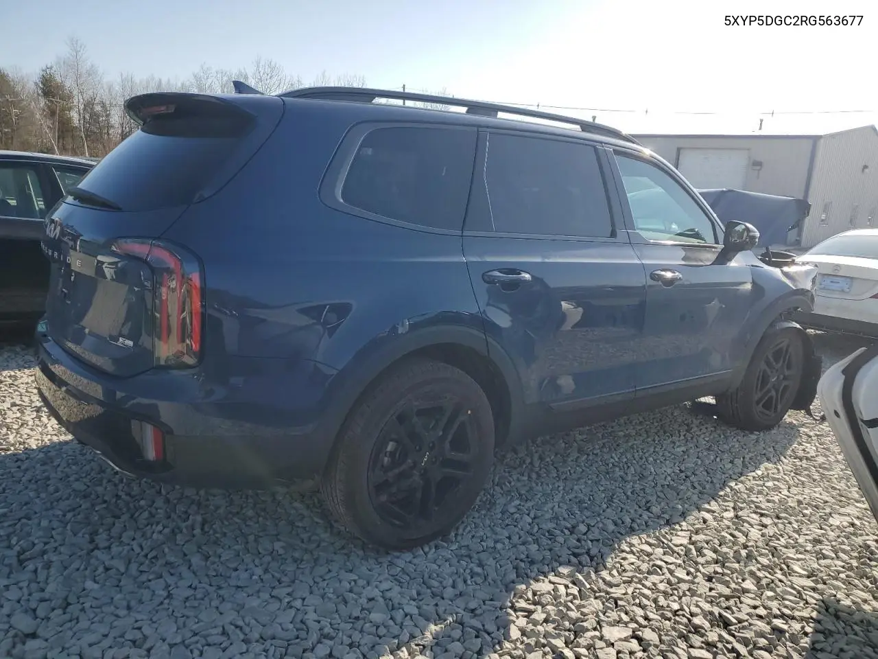 2024 Kia Telluride Sx VIN: 5XYP5DGC2RG563677 Lot: 48695545