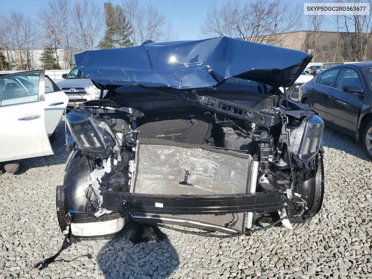2024 Kia Telluride Sx VIN: 5XYP5DGC2RG563677 Lot: 48695545