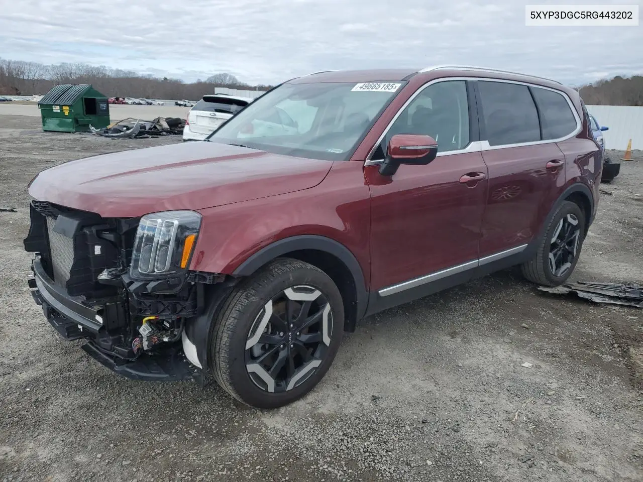 2024 Kia Telluride Ex VIN: 5XYP3DGC5RG443202 Lot: 49665185