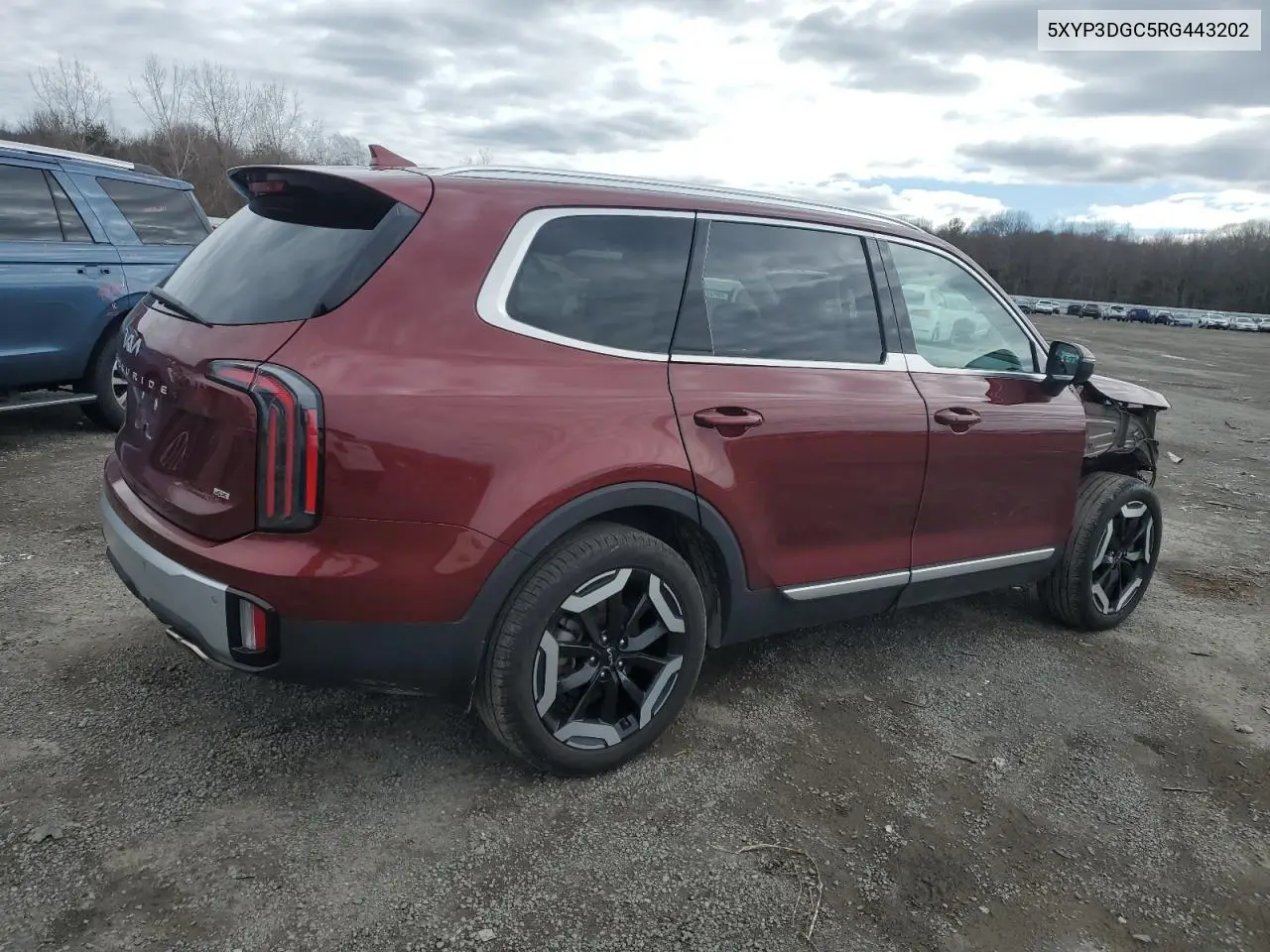 2024 Kia Telluride Ex VIN: 5XYP3DGC5RG443202 Lot: 49665185