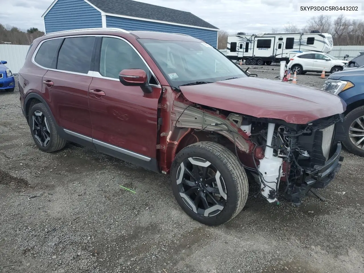 2024 Kia Telluride Ex VIN: 5XYP3DGC5RG443202 Lot: 49665185