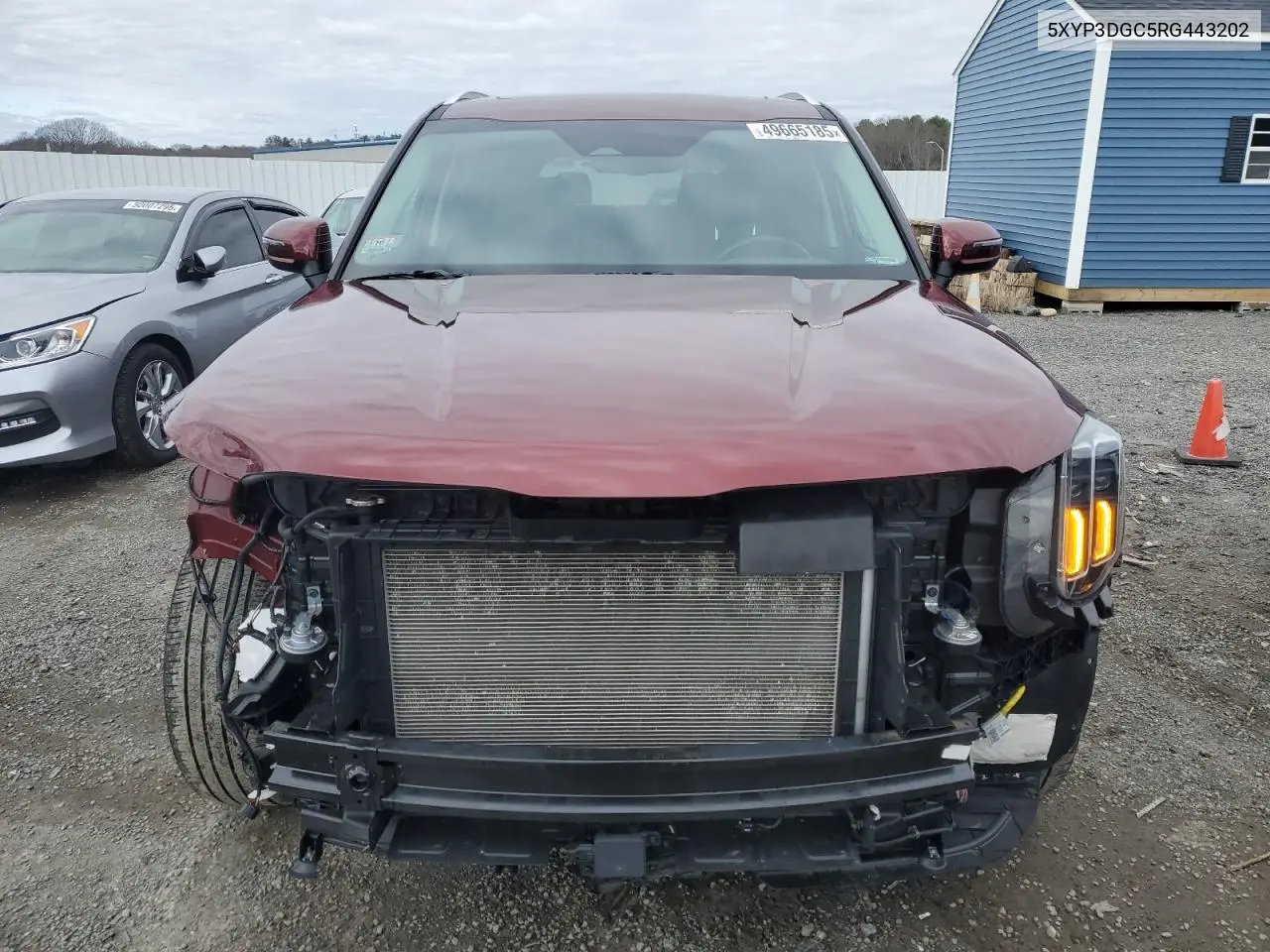 2024 Kia Telluride Ex VIN: 5XYP3DGC5RG443202 Lot: 49665185