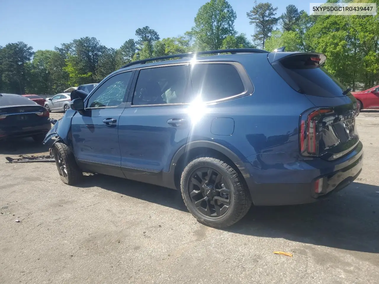 2024 Kia Telluride Sx VIN: 5XYP5DGC1RG439447 Lot: 52987835