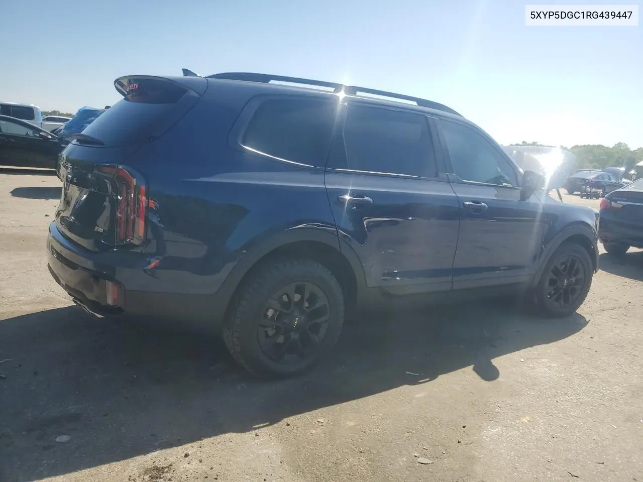2024 Kia Telluride Sx VIN: 5XYP5DGC1RG439447 Lot: 52987835