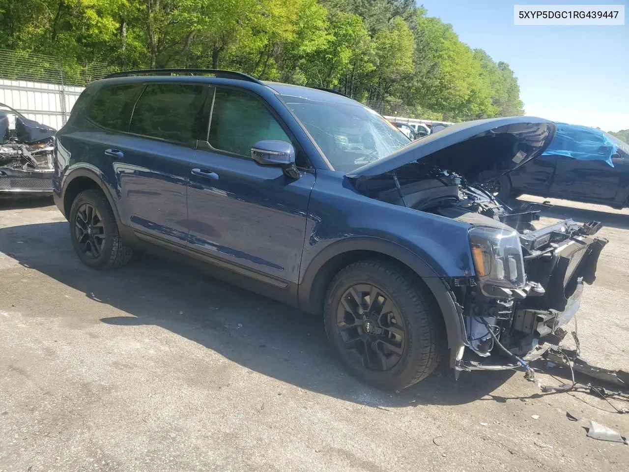 2024 Kia Telluride Sx VIN: 5XYP5DGC1RG439447 Lot: 52987835