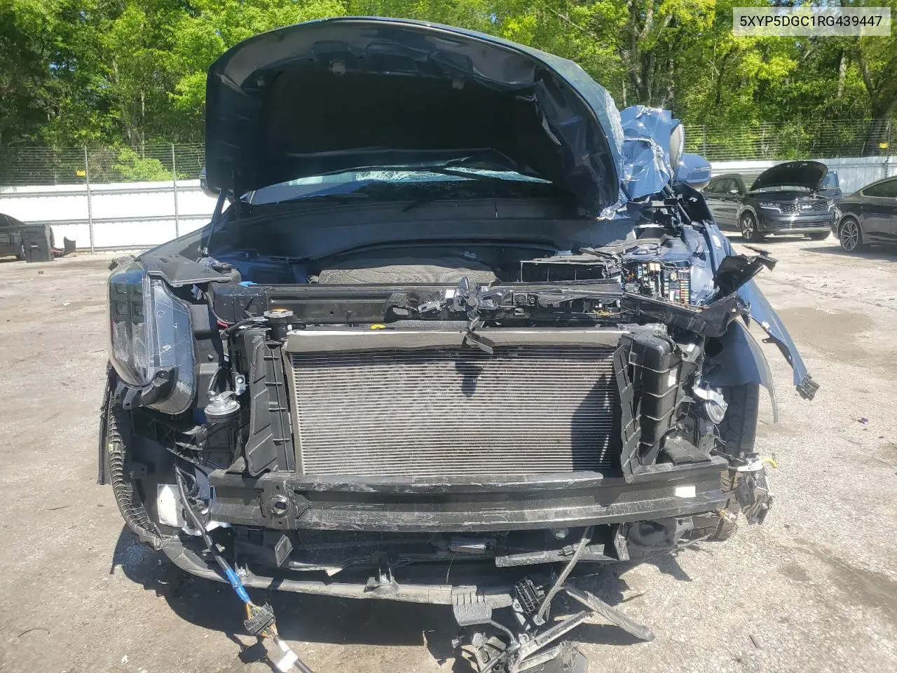 2024 Kia Telluride Sx VIN: 5XYP5DGC1RG439447 Lot: 52987835