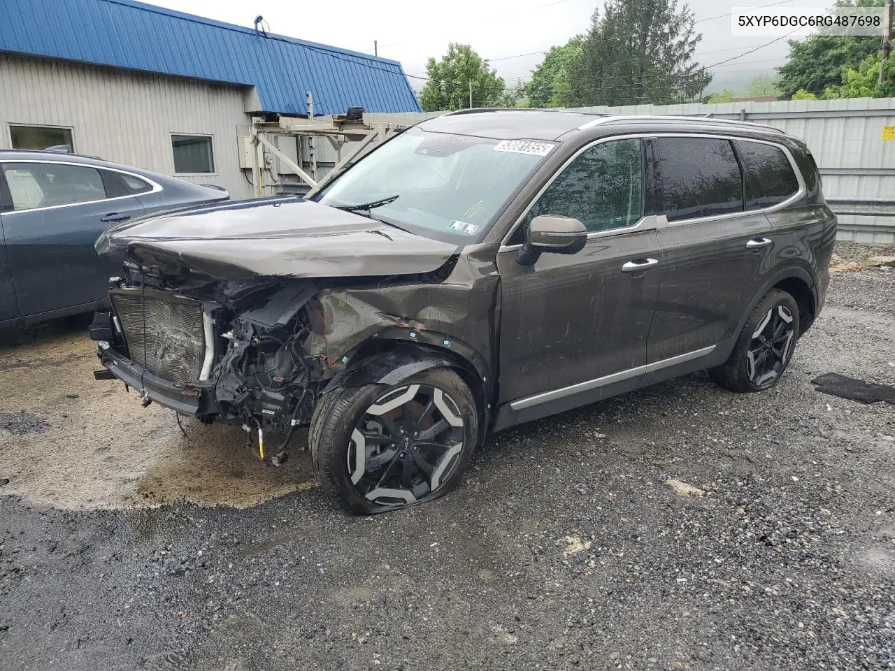 2024 Kia Telluride S VIN: 5XYP6DGC6RG487698 Lot: 53081355