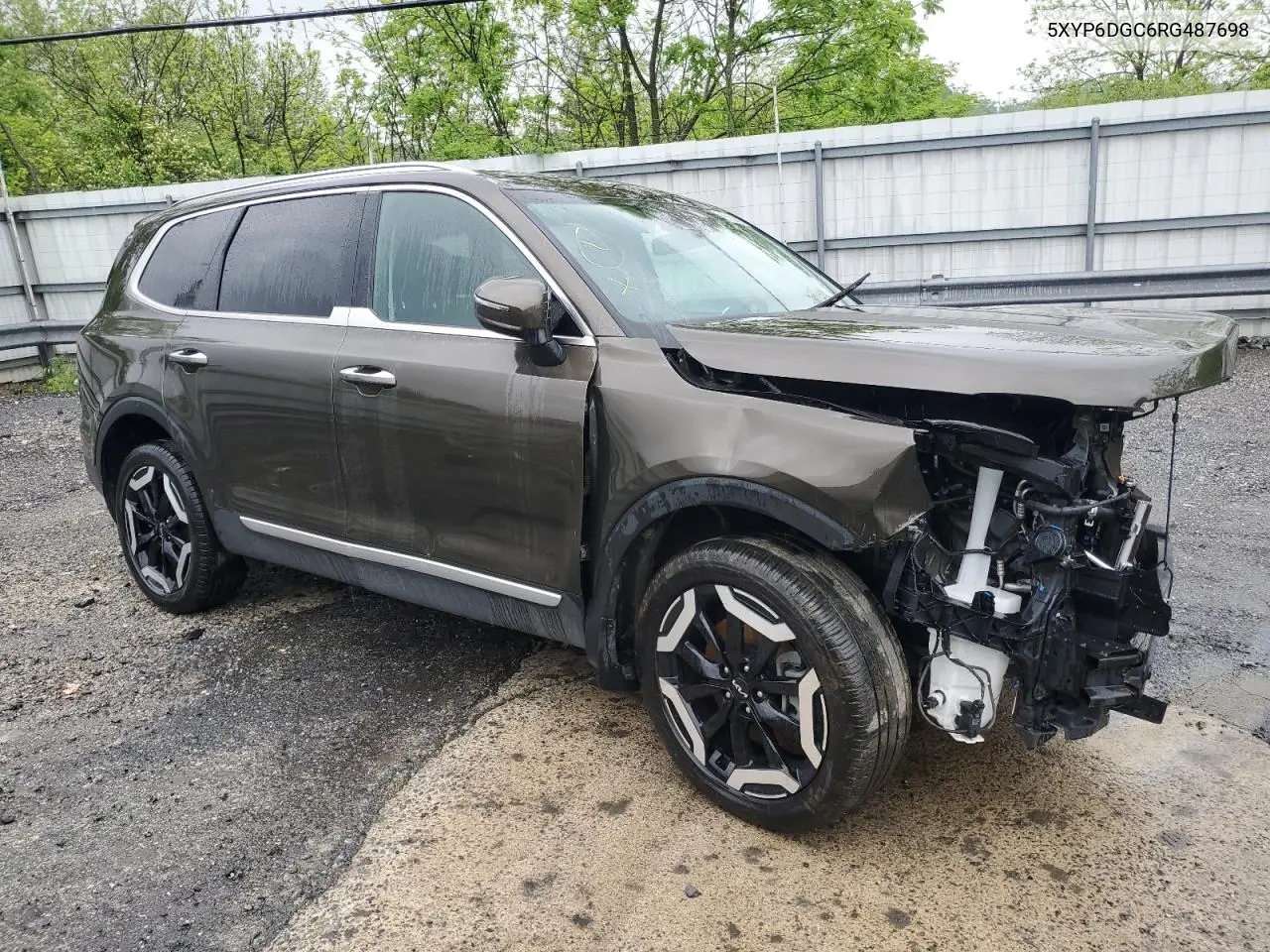 2024 Kia Telluride S VIN: 5XYP6DGC6RG487698 Lot: 53081355