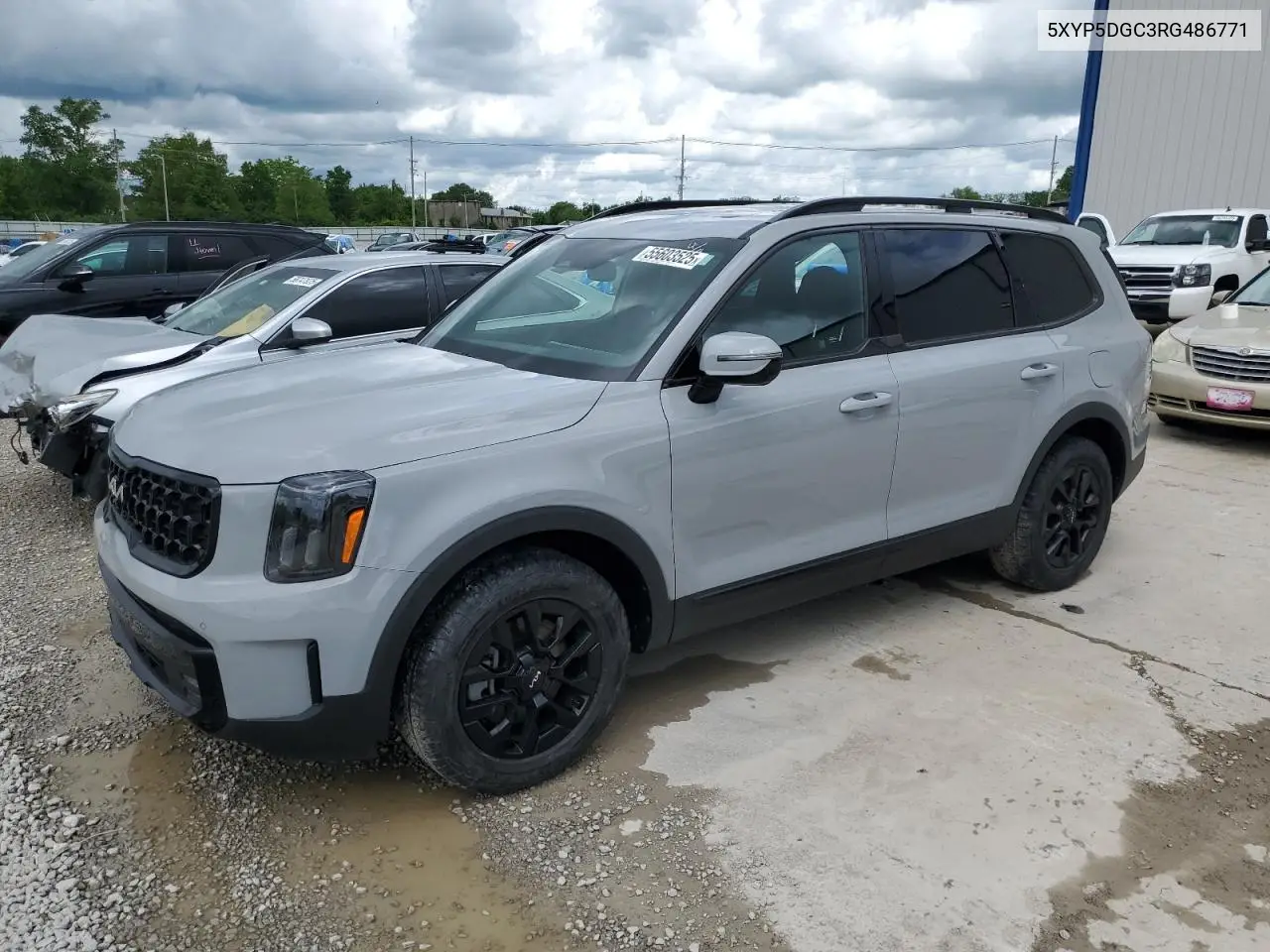 2024 Kia Telluride Sx VIN: 5XYP5DGC3RG486771 Lot: 55603525