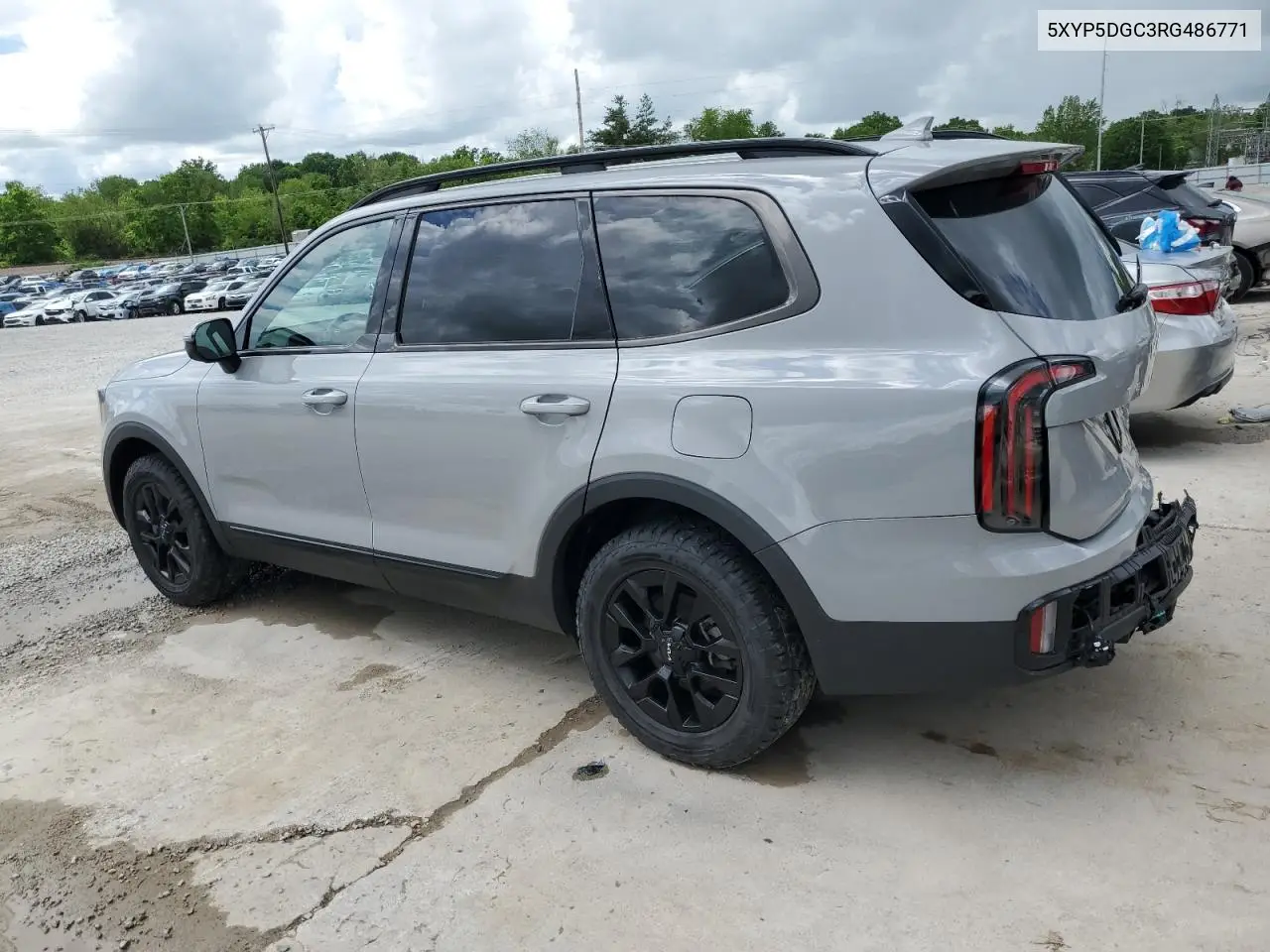 2024 Kia Telluride Sx VIN: 5XYP5DGC3RG486771 Lot: 55603525