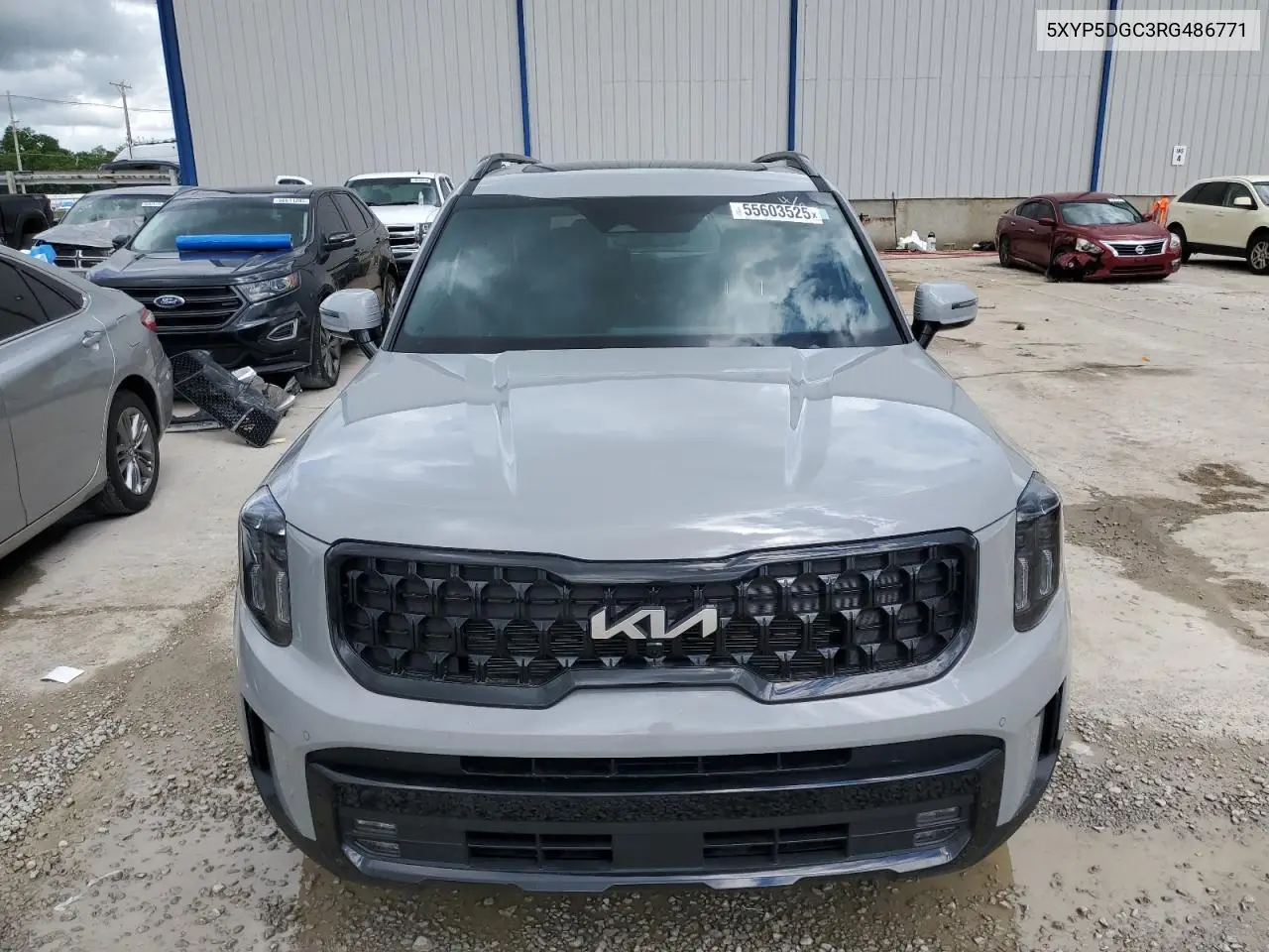 2024 Kia Telluride Sx VIN: 5XYP5DGC3RG486771 Lot: 55603525