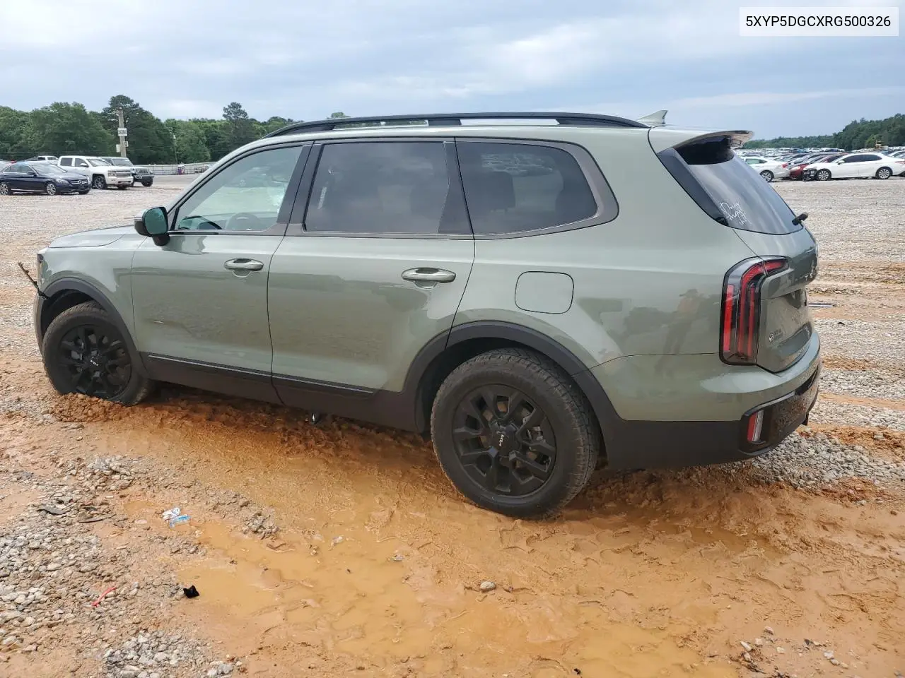 2024 Kia Telluride Sx VIN: 5XYP5DGCXRG500326 Lot: 55867255
