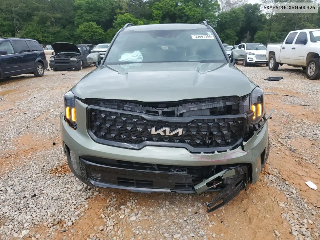 2024 Kia Telluride Sx VIN: 5XYP5DGCXRG500326 Lot: 55867255