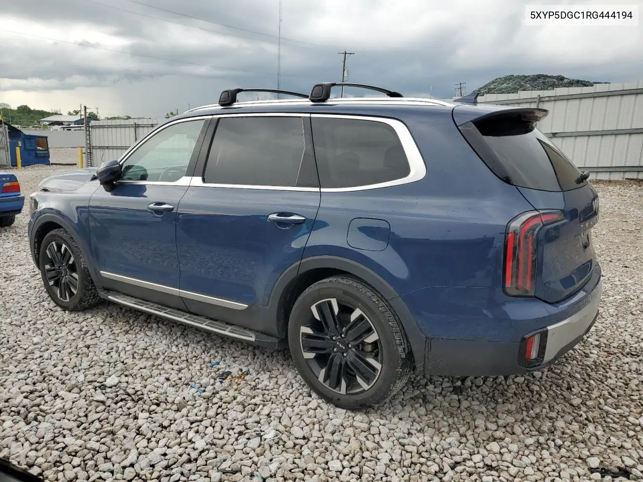 2024 Kia Telluride Sx VIN: 5XYP5DGC1RG444194 Lot: 56537315