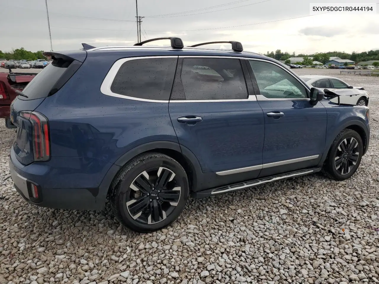 2024 Kia Telluride Sx VIN: 5XYP5DGC1RG444194 Lot: 56537315