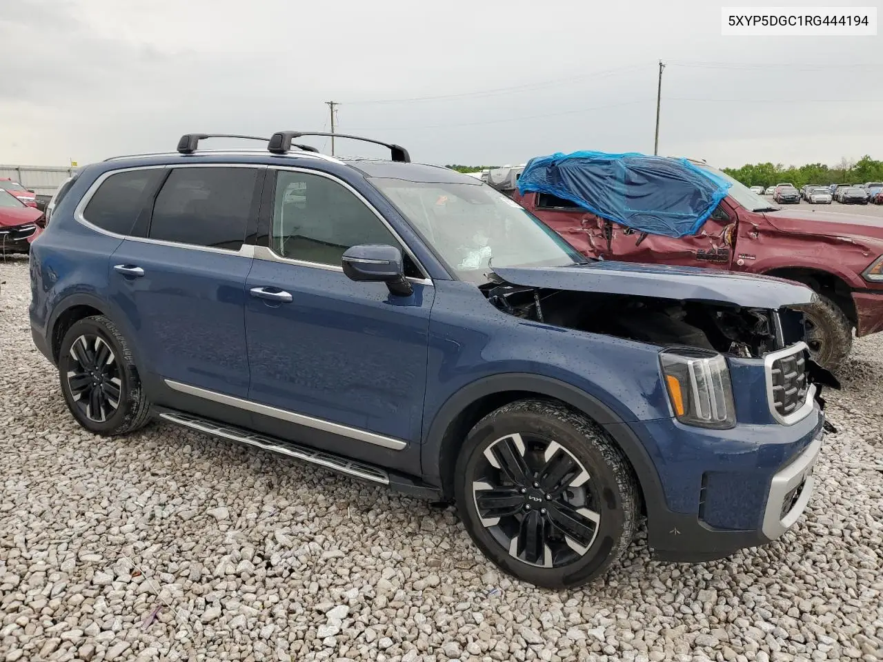 2024 Kia Telluride Sx VIN: 5XYP5DGC1RG444194 Lot: 56537315