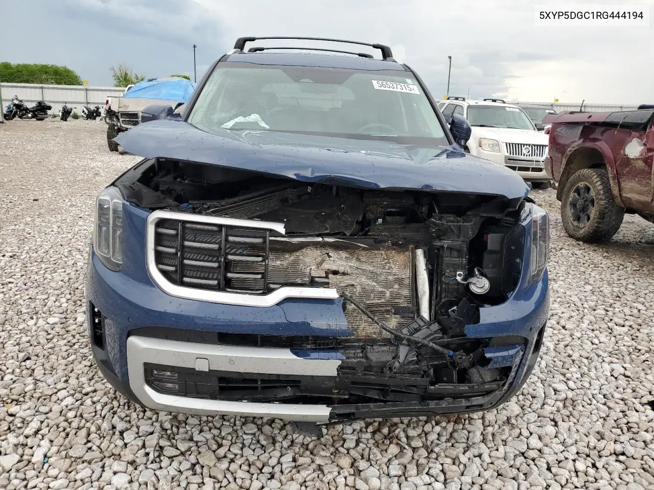 2024 Kia Telluride Sx VIN: 5XYP5DGC1RG444194 Lot: 56537315
