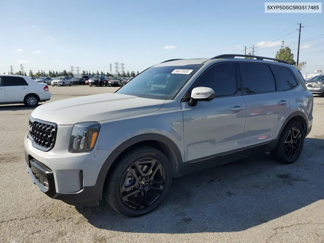 2024 Kia Telluride Sx VIN: 5XYP5DGC5RG517485 Lot: 56673085
